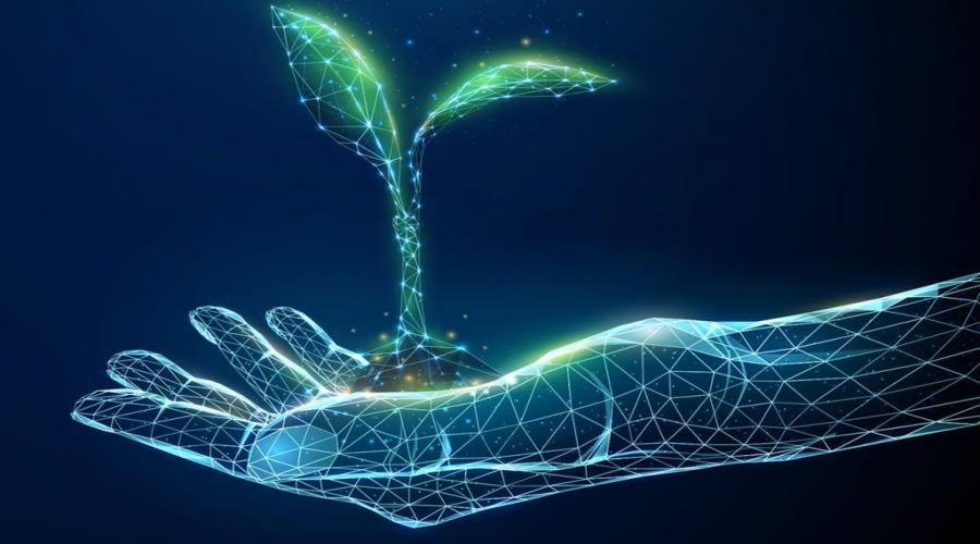 Dottorato di ricerca in Scienze Giuridiche per la sostenibilità, la transizione ecologica e digitale